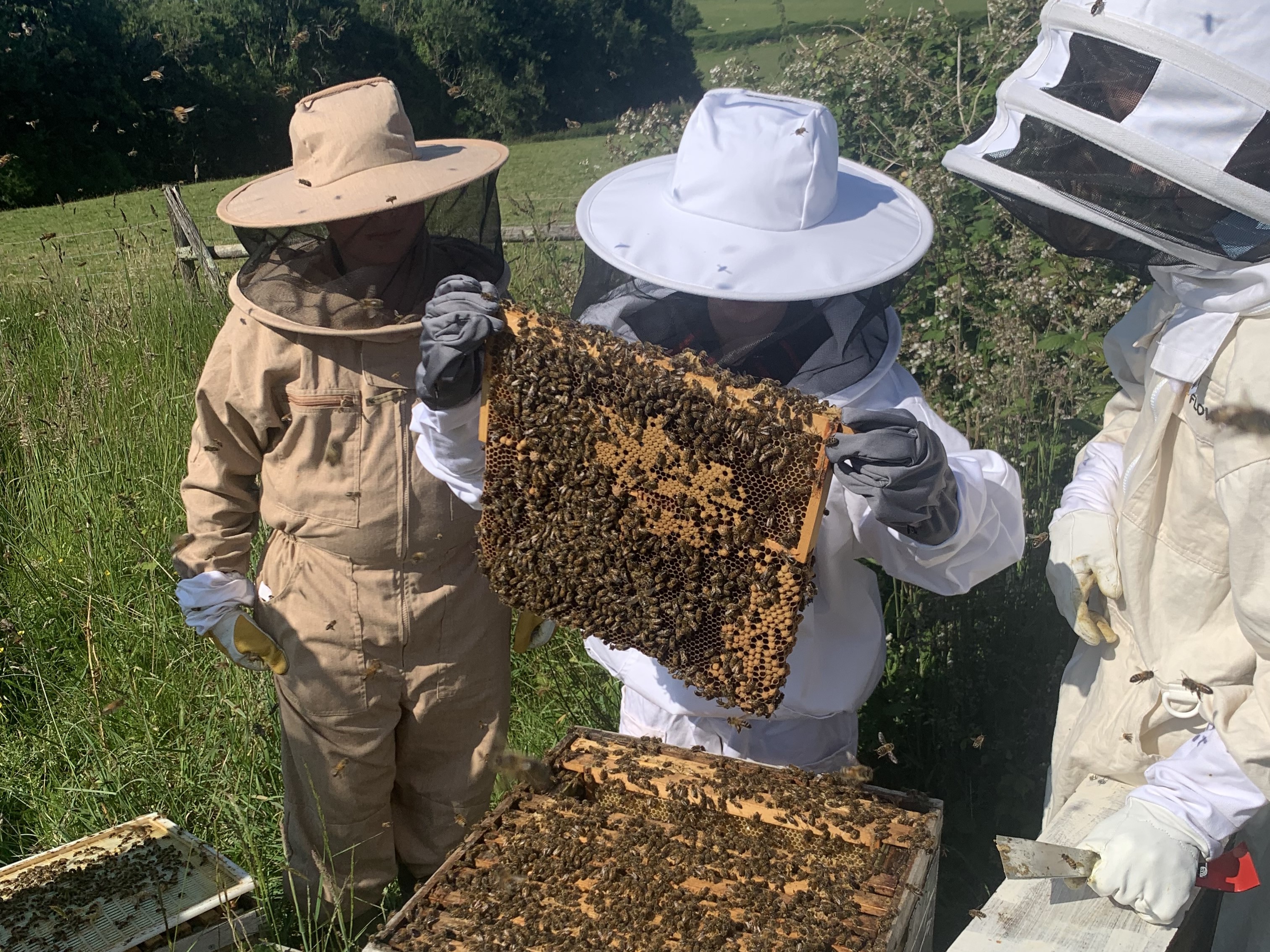 Co-Curricular Provision in Private Schools: What Parents Should Look For